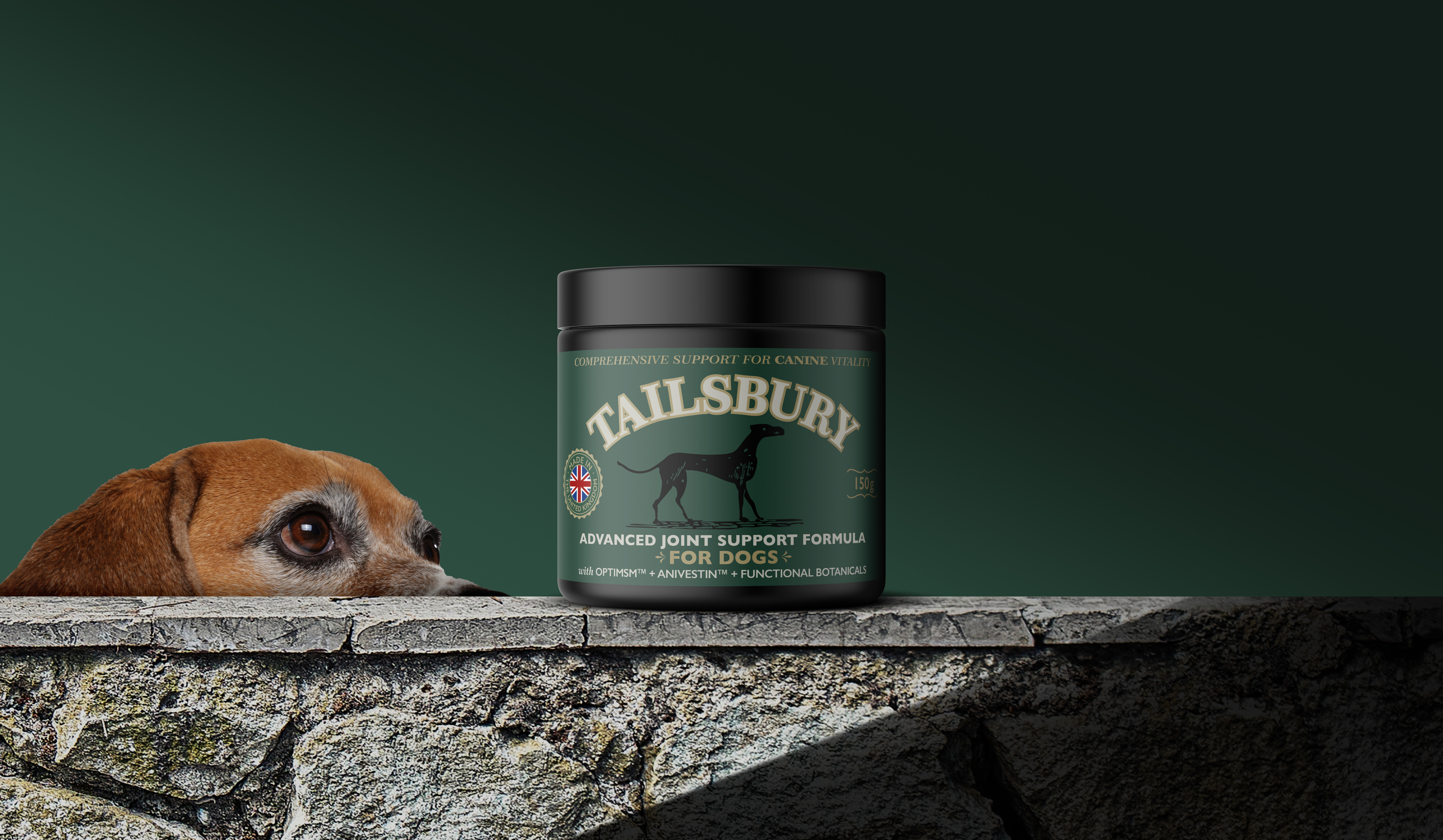 Dog beside a pet supplement jar